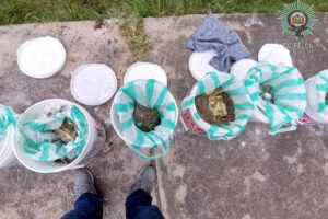 Operativo encuentra clorhidrato de cocaína en Potosí-Tarija