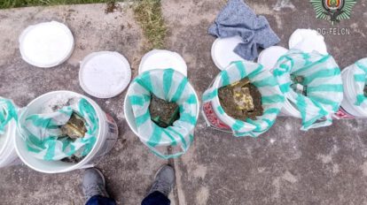 Operativo encuentra clorhidrato de cocaína en Potosí-Tarija