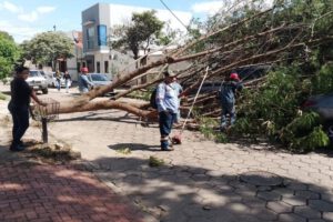 Fuertes vientos en Santa Cruz generan emergencias
