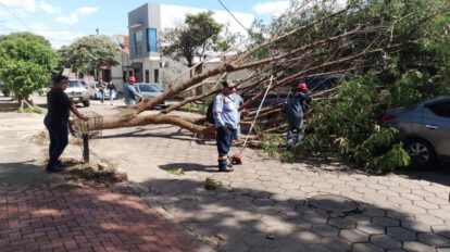 Fuertes vientos en Santa Cruz generan emergencias