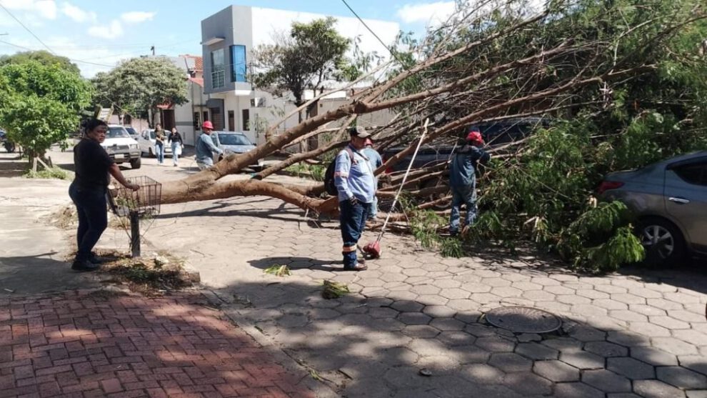Fuertes vientos en Santa Cruz generan emergencias