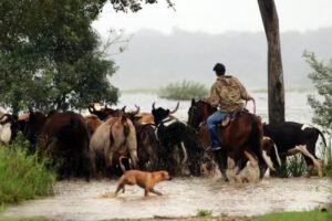 Reprogramación de créditos para damnificados por lluvias