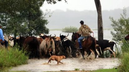 Reprogramación de créditos para damnificados por lluvias