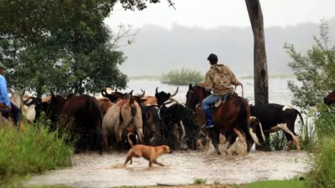 Reprogramación de créditos para damnificados por lluvias