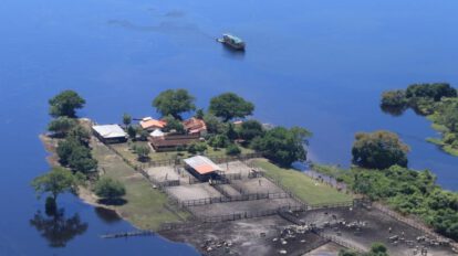 Crisis ganadera en Beni por desbordamiento de ríos