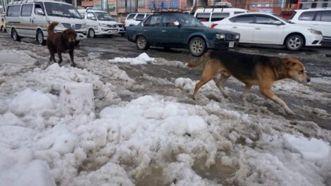 Granizada en El Alto afecta la circulación vehicular