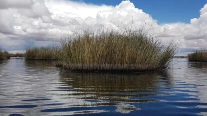 Lago Uru Uru mejora su nivel de agua