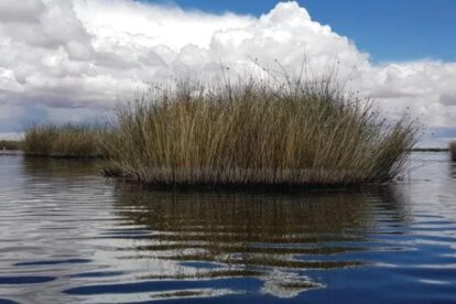 Lago Uru Uru mejora su nivel de agua