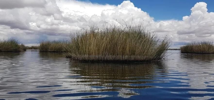 Lago Uru Uru mejora su nivel de agua