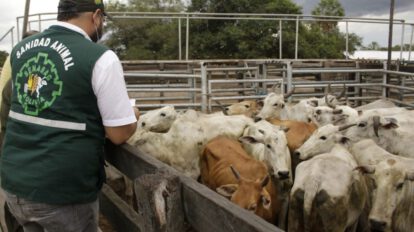 certificación internacional fiebre aftosa en Bolivia