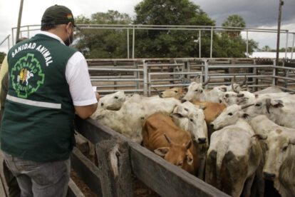 certificación internacional fiebre aftosa en Bolivia