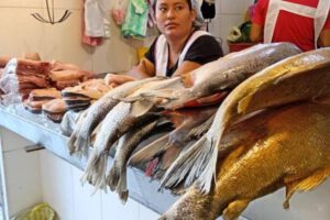 Aumento de precios de pescado en Semana Santa