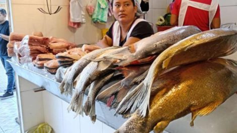 Aumento de precios de pescado en Semana Santa