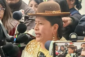 Candidatos del MAS según la senadora Virginia Velasco