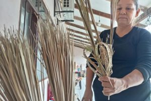 Inundaciones en Paurito afectan producción de tejedoras de ramos para Semana Santa