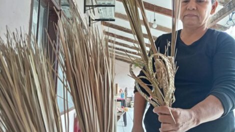 Inundaciones en Paurito afectan producción de tejedoras de ramos para Semana Santa