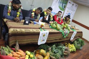 sistema de riego en Cajuata