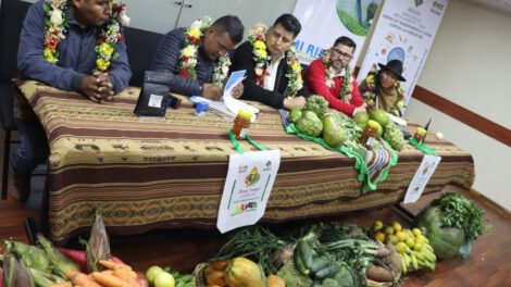 sistema de riego en Cajuata