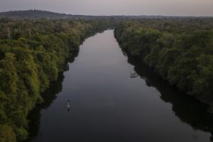 crisis climática en la cuenca amazónica