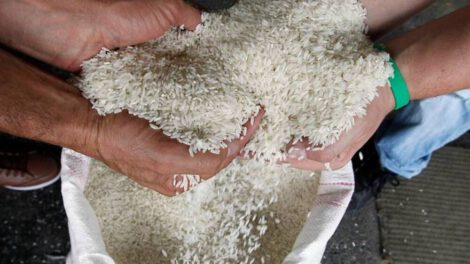 Feria Del Campo a la Olla con largas filas por escasez de arroz