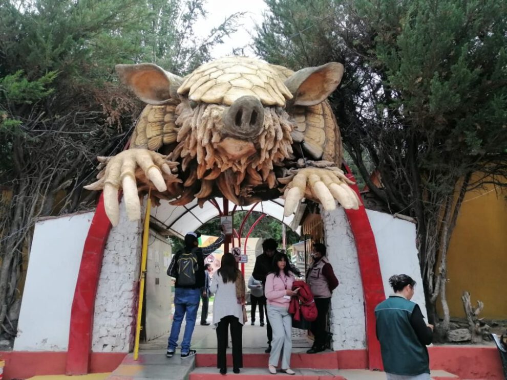 Zorrito agresor bajo vigilancia en Bioparque Andino