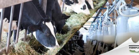 Aumento precio leche a Bs 6 por litro