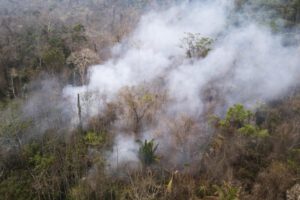 Incendios forestales en Brasil
