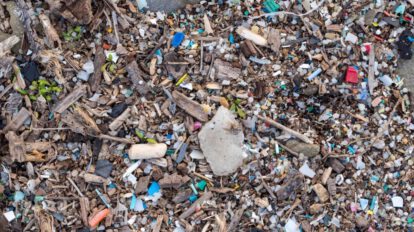 microplásticos en el medioambiente