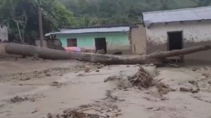mazamorra en Apolo