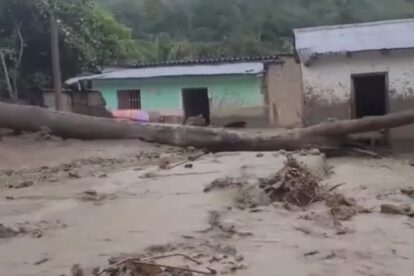 mazamorra en Apolo