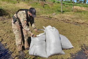 Operación conjunta Paraguay Brasil contra el narcotráfico