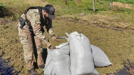 Operación conjunta Paraguay Brasil contra el narcotráfico