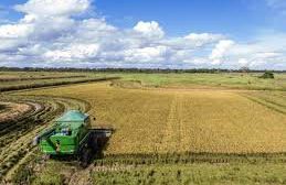 YPFB entrega urea para impulsar la producción de arroz