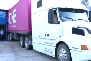 Exportación de chía a China