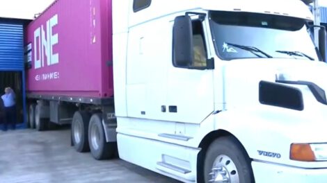 Exportación de chía a China