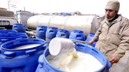 Crisis del sector lechero en Cochabamba