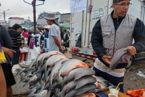 Precios del pescado en Santa Cruz