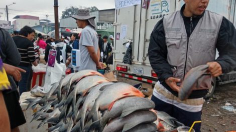 Precios del pescado en Santa Cruz