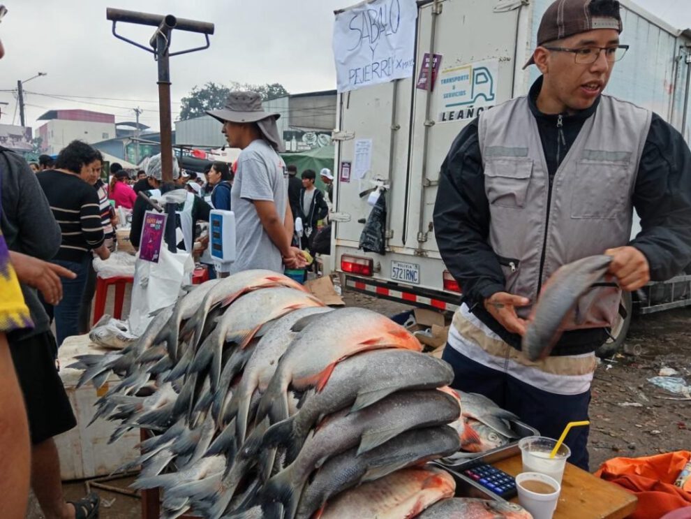 Precios del pescado en Santa Cruz