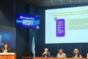 Cooperación internacional delitos digitales