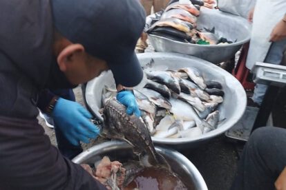 Intendencia de Cochabamba incauta pescado en mal estado