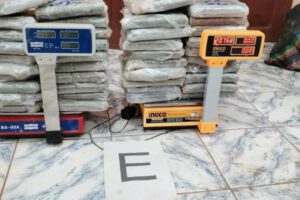 Aprehenden a tres personas con marihuana en operativo de la Felcn