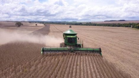 siembra de soya en Bolivia