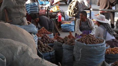 Mercado Central del Productor en Cochabamba