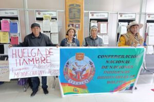 Huelga de hambre por representación indígena frente al TCP