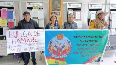 Huelga de hambre por representación indígena frente al TCP
