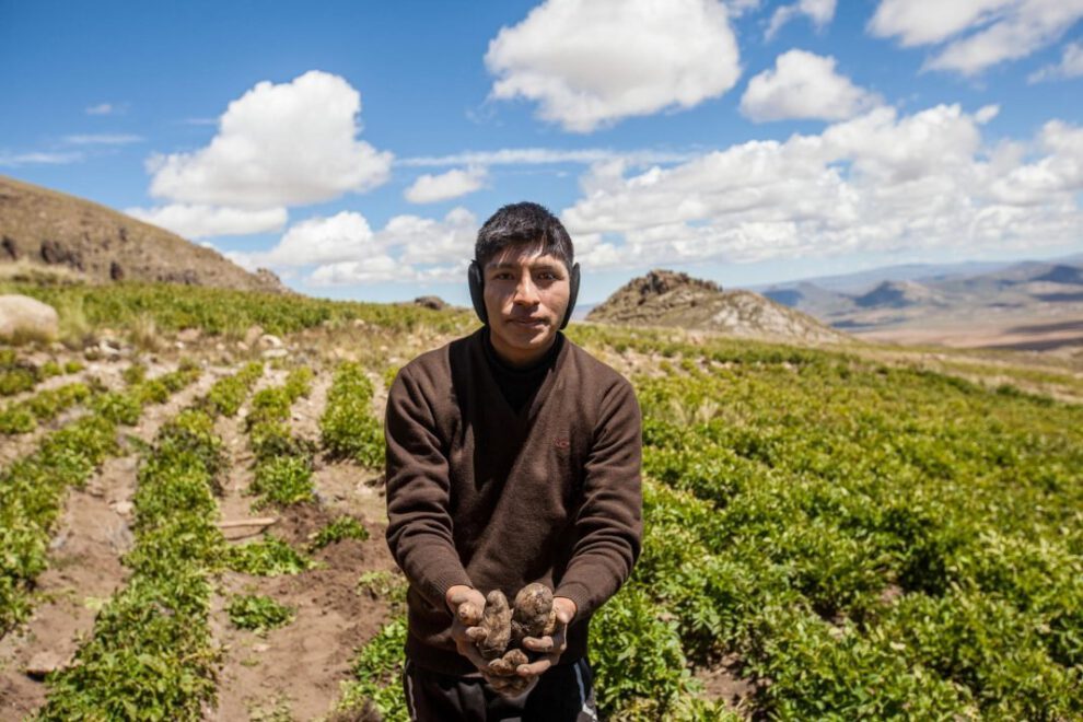 Rendimiento agrícola de Orcuyo