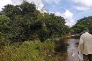 Problemas de salud en Puerto Ballivián debido a inundaciones