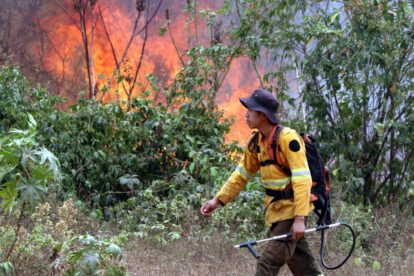 Incendios forestales en Bolivia devastan más de 12,6 millones de hectáreas