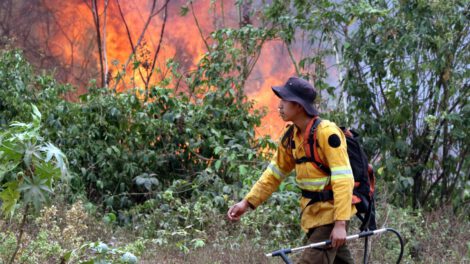 Incendios forestales en Bolivia devastan más de 12,6 millones de hectáreas